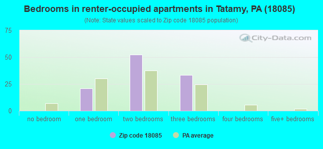 Bedrooms in renter-occupied apartments in Tatamy, PA (18085) 