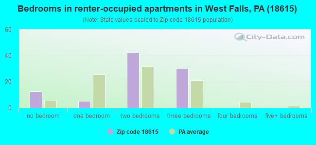 Bedrooms in renter-occupied apartments in West Falls, PA (18615) 
