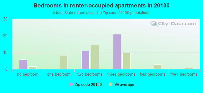 Bedrooms in renter-occupied apartments in 20130 