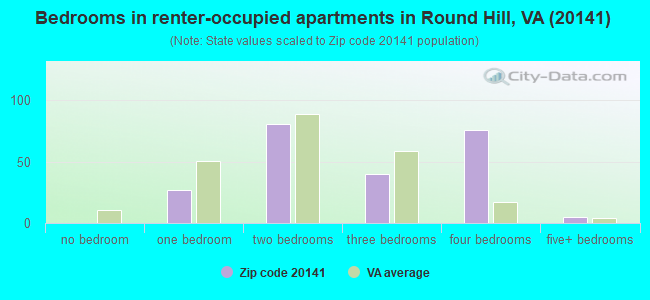 Bedrooms in renter-occupied apartments in Round Hill, VA (20141) 