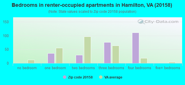 Bedrooms in renter-occupied apartments in Hamilton, VA (20158) 