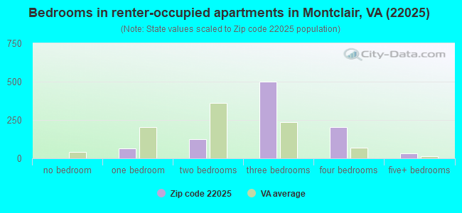 Bedrooms in renter-occupied apartments in Montclair, VA (22025) 