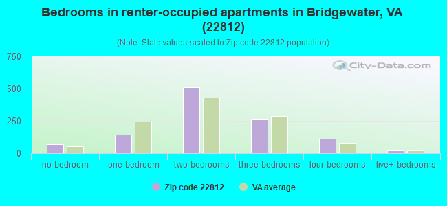 Bedrooms in renter-occupied apartments in Bridgewater, VA (22812) 