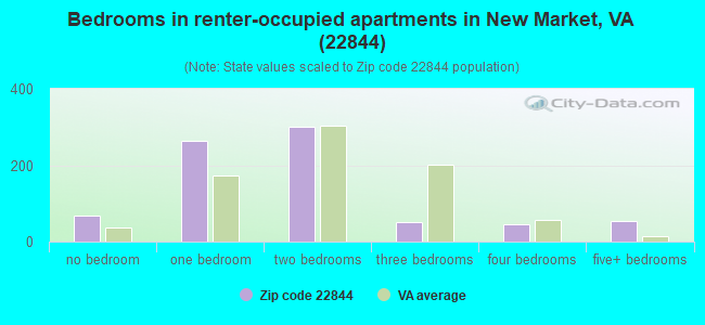 Bedrooms in renter-occupied apartments in New Market, VA (22844) 