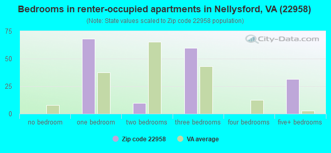 Bedrooms in renter-occupied apartments in Nellysford, VA (22958) 