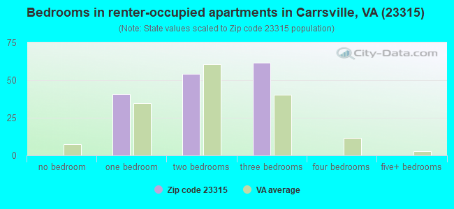 Bedrooms in renter-occupied apartments in Carrsville, VA (23315) 