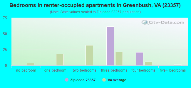 Bedrooms in renter-occupied apartments in Greenbush, VA (23357) 