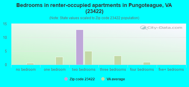 Bedrooms in renter-occupied apartments in Pungoteague, VA (23422) 