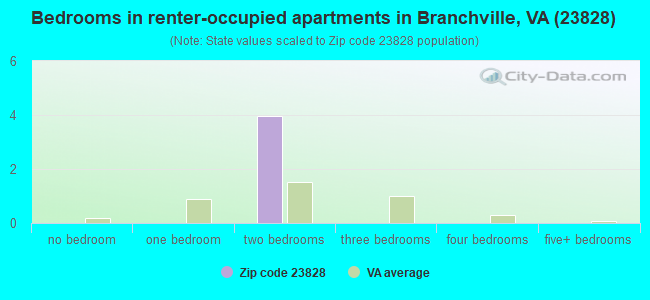 Bedrooms in renter-occupied apartments in Branchville, VA (23828) 