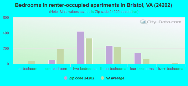 Bedrooms in renter-occupied apartments in Bristol, VA (24202) 