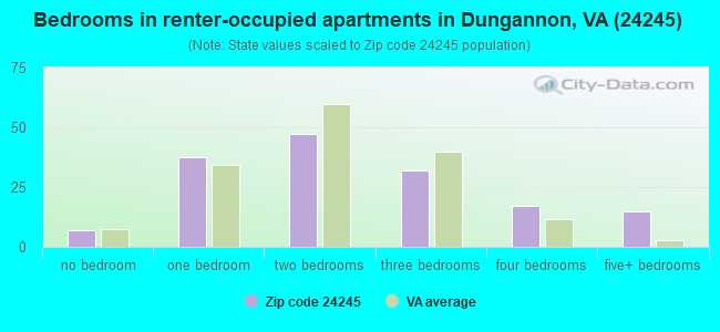 Bedrooms in renter-occupied apartments in Dungannon, VA (24245) 
