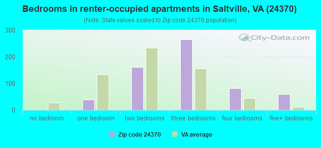Bedrooms in renter-occupied apartments in Saltville, VA (24370) 