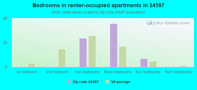 Bedrooms in renter-occupied apartments in 24597 