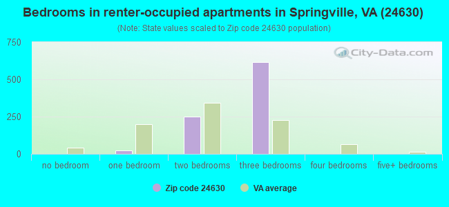 Bedrooms in renter-occupied apartments in Springville, VA (24630) 