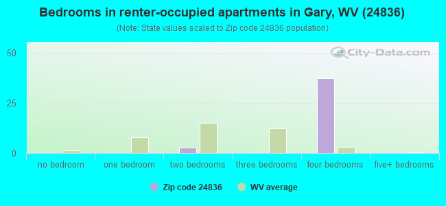 Bedrooms in renter-occupied apartments in Gary, WV (24836) 