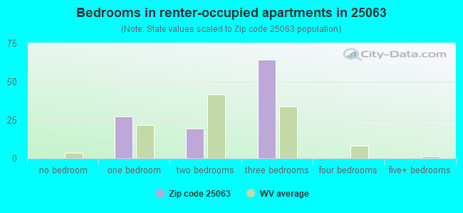 Bedrooms in renter-occupied apartments in 25063 