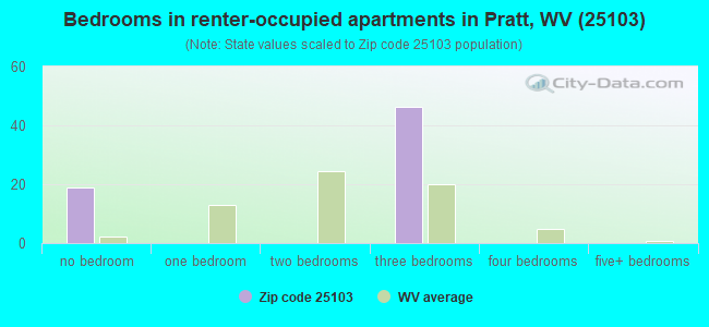 Bedrooms in renter-occupied apartments in Pratt, WV (25103) 