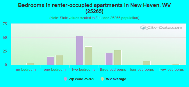 Bedrooms in renter-occupied apartments in New Haven, WV (25265) 