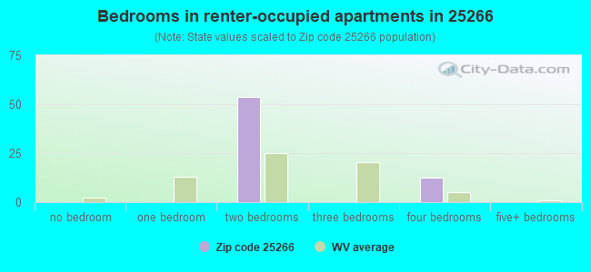 Bedrooms in renter-occupied apartments in 25266 