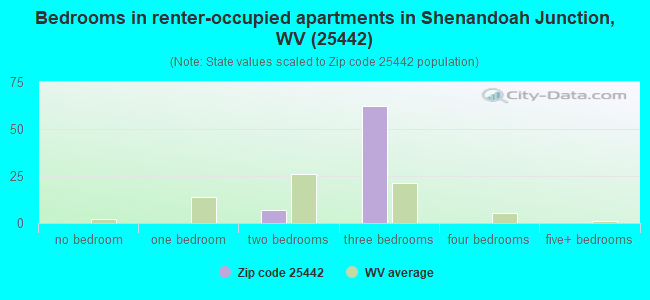 Bedrooms in renter-occupied apartments in Shenandoah Junction, WV (25442) 