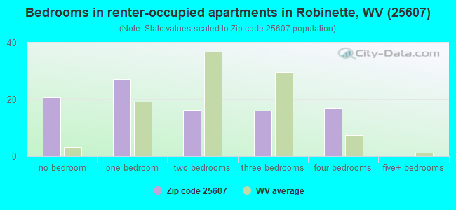 Bedrooms in renter-occupied apartments in Robinette, WV (25607) 