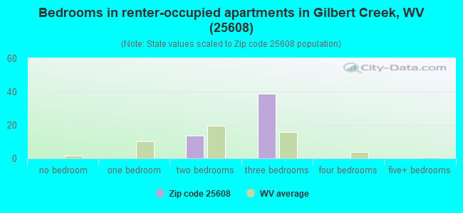 Bedrooms in renter-occupied apartments in Gilbert Creek, WV (25608) 