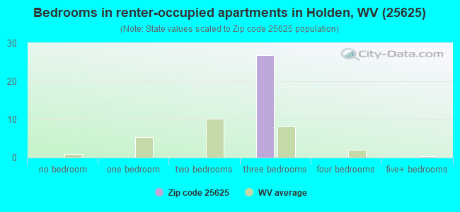 Bedrooms in renter-occupied apartments in Holden, WV (25625) 