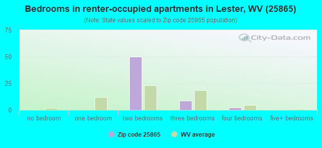 Bedrooms in renter-occupied apartments in Lester, WV (25865) 