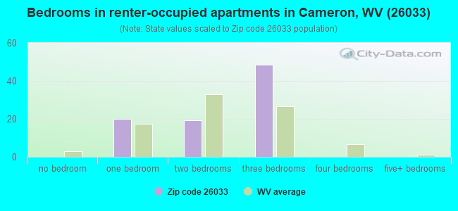 Bedrooms in renter-occupied apartments in Cameron, WV (26033) 