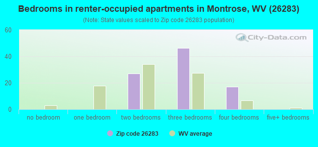 Bedrooms in renter-occupied apartments in Montrose, WV (26283) 