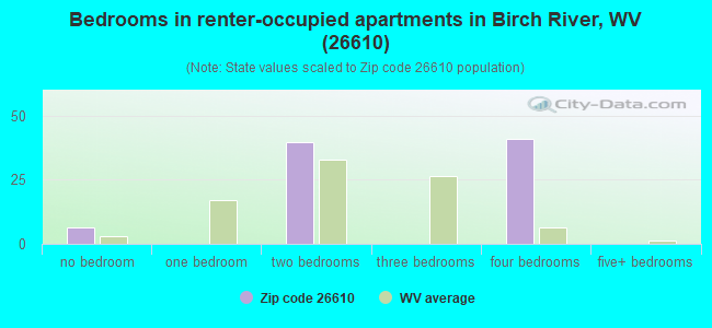 Bedrooms in renter-occupied apartments in Birch River, WV (26610) 