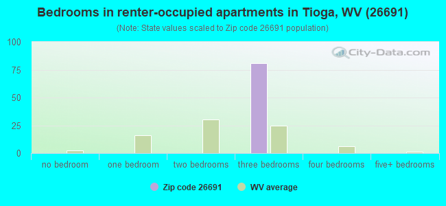 Bedrooms in renter-occupied apartments in Tioga, WV (26691) 