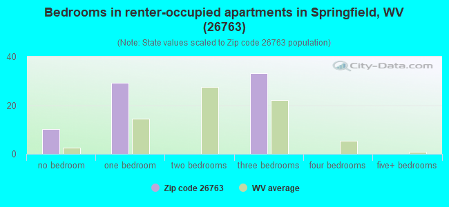 Bedrooms in renter-occupied apartments in Springfield, WV (26763) 