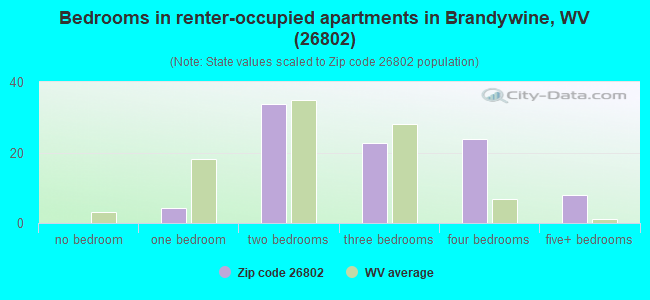 Bedrooms in renter-occupied apartments in Brandywine, WV (26802) 