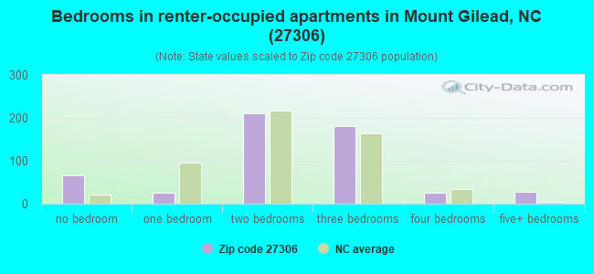 Bedrooms in renter-occupied apartments in Mount Gilead, NC (27306) 