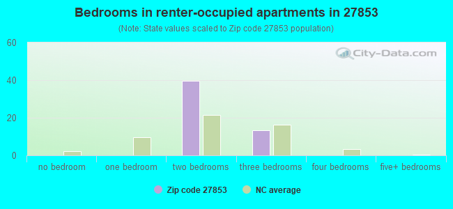 Bedrooms in renter-occupied apartments in 27853 