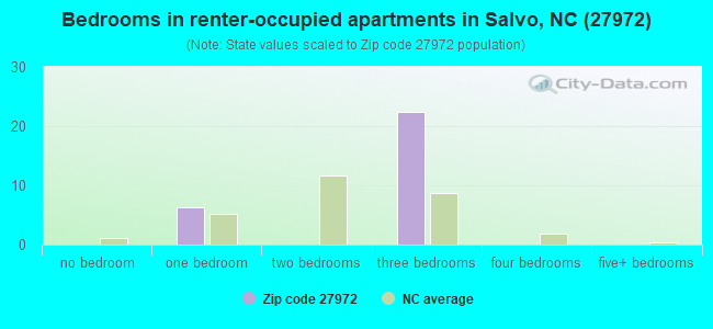 Bedrooms in renter-occupied apartments in Salvo, NC (27972) 