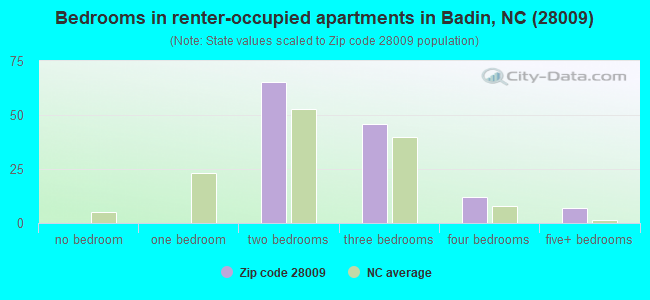 Bedrooms in renter-occupied apartments in Badin, NC (28009) 
