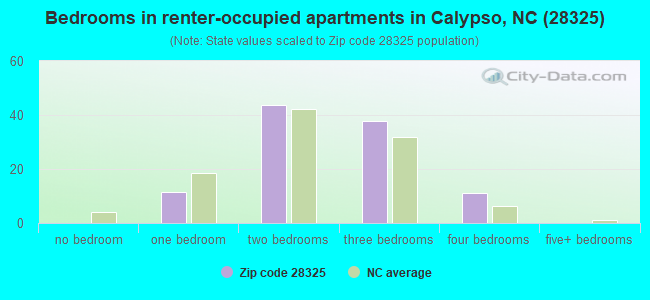 Bedrooms in renter-occupied apartments in Calypso, NC (28325) 