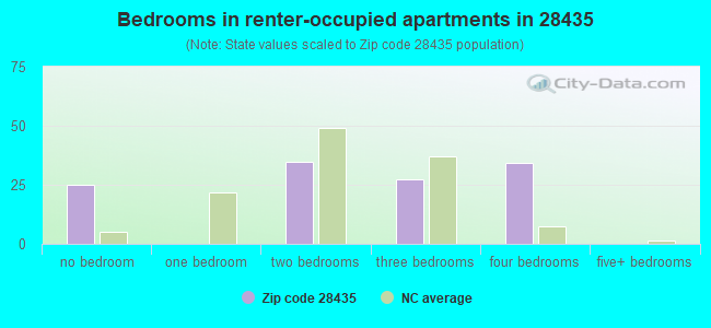 Bedrooms in renter-occupied apartments in 28435 