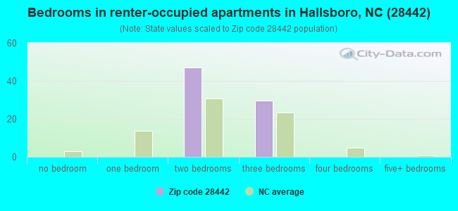 Bedrooms in renter-occupied apartments in Hallsboro, NC (28442) 