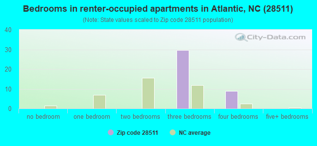Bedrooms in renter-occupied apartments in Atlantic, NC (28511) 