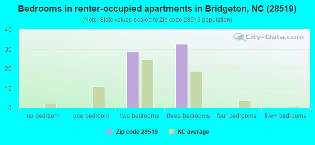 Bedrooms in renter-occupied apartments in Bridgeton, NC (28519) 