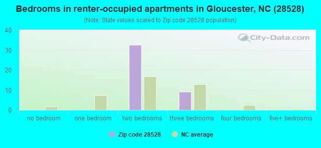 Bedrooms in renter-occupied apartments in Gloucester, NC (28528) 