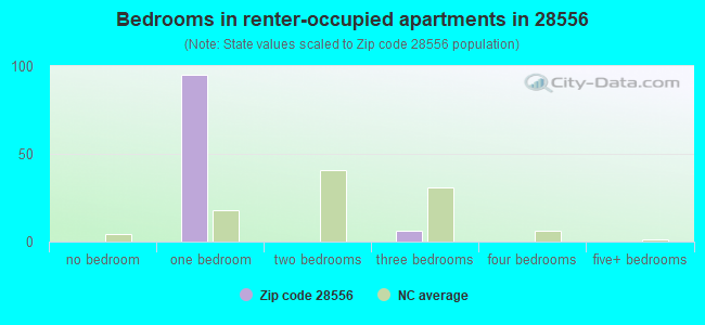 Bedrooms in renter-occupied apartments in 28556 