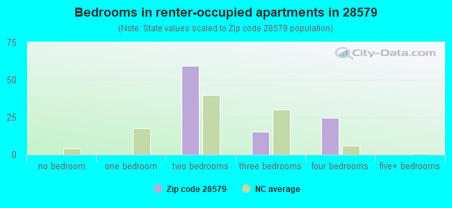 Bedrooms in renter-occupied apartments in 28579 