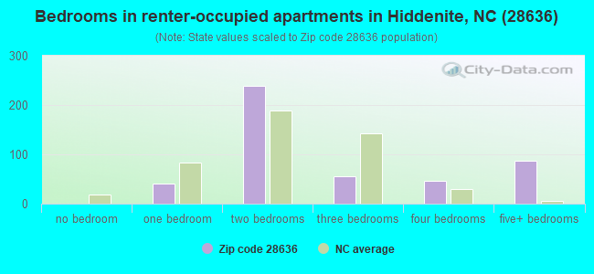 Bedrooms in renter-occupied apartments in Hiddenite, NC (28636) 