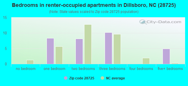 Bedrooms in renter-occupied apartments in Dillsboro, NC (28725) 