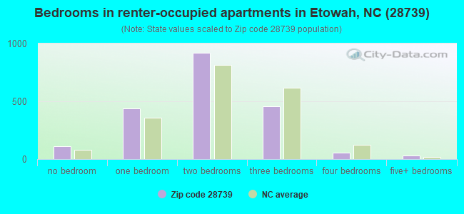 Bedrooms in renter-occupied apartments in Etowah, NC (28739) 