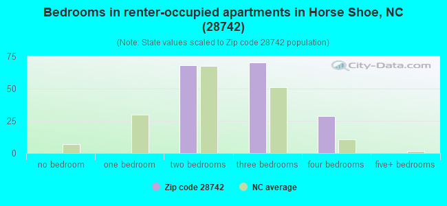 Bedrooms in renter-occupied apartments in Horse Shoe, NC (28742) 
